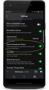 how-to-get-lyrics-automatically-on-spotify-xxs-framed-162x300-png.png